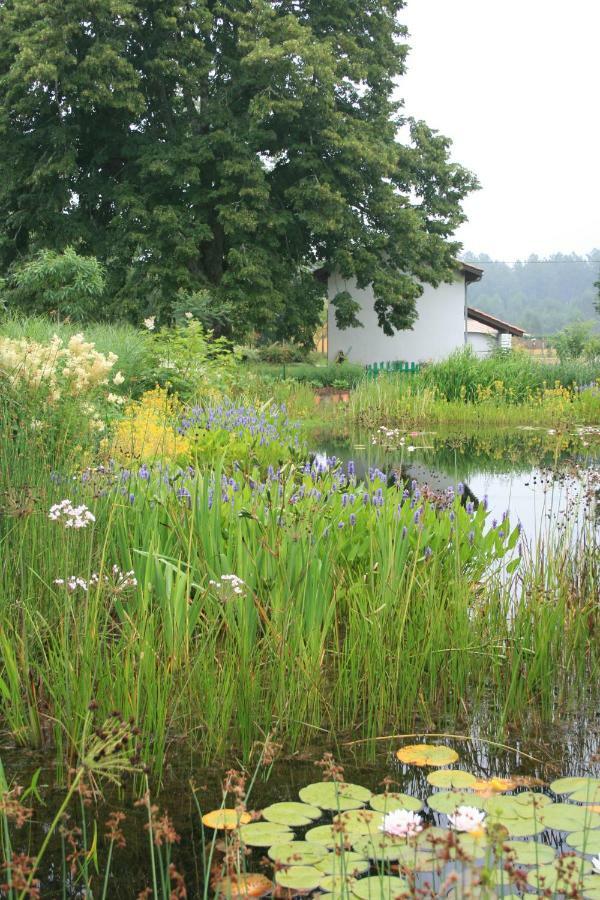 Gites & Spa De Charme " Ploum" Pouydesseaux ภายนอก รูปภาพ